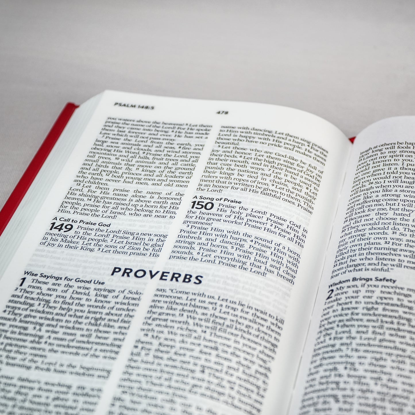 The A-Z Devotional Bible for Brave Boys - New Life Version (New & Old Testament)