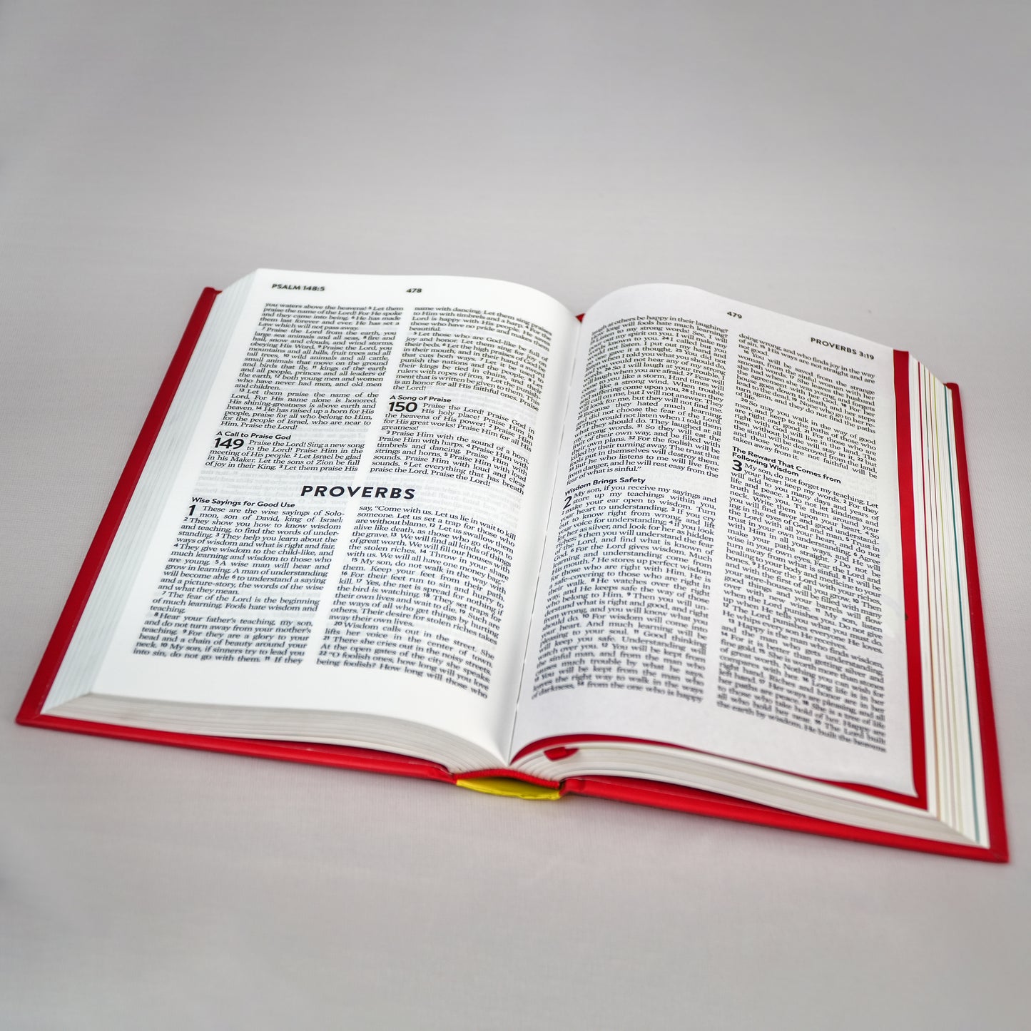 The A-Z Devotional Bible for Brave Boys - New Life Version (New & Old Testament)