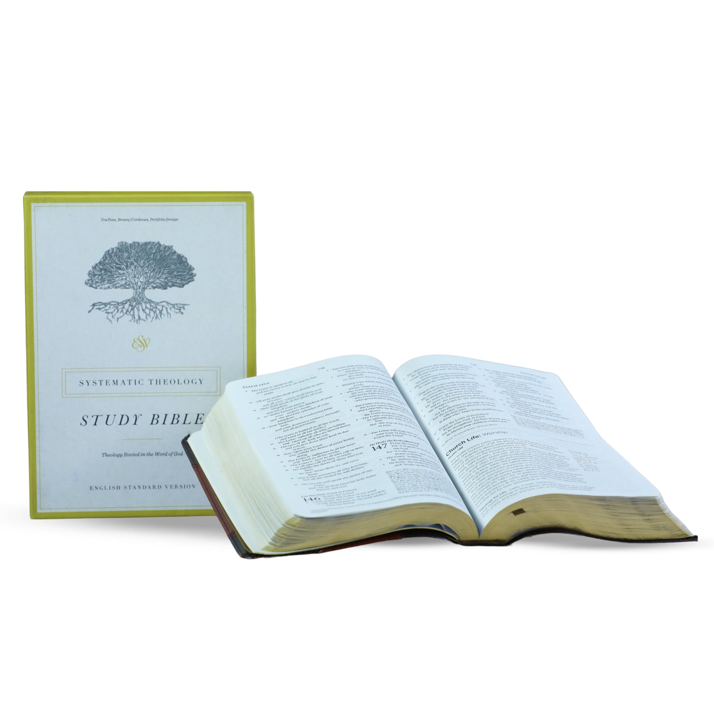 ESV Systematic Theology Study Black