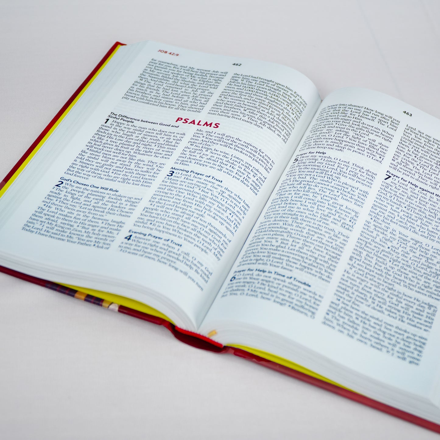 The Brave Boys Devotional Bible - New Life Version (New & Old Testament)