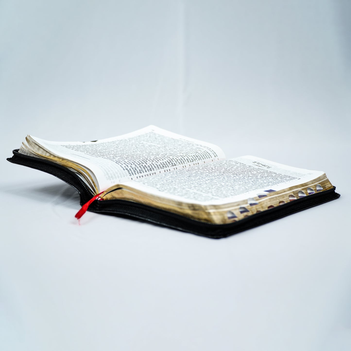 Holy Bible Old and New Testament - Telugu
