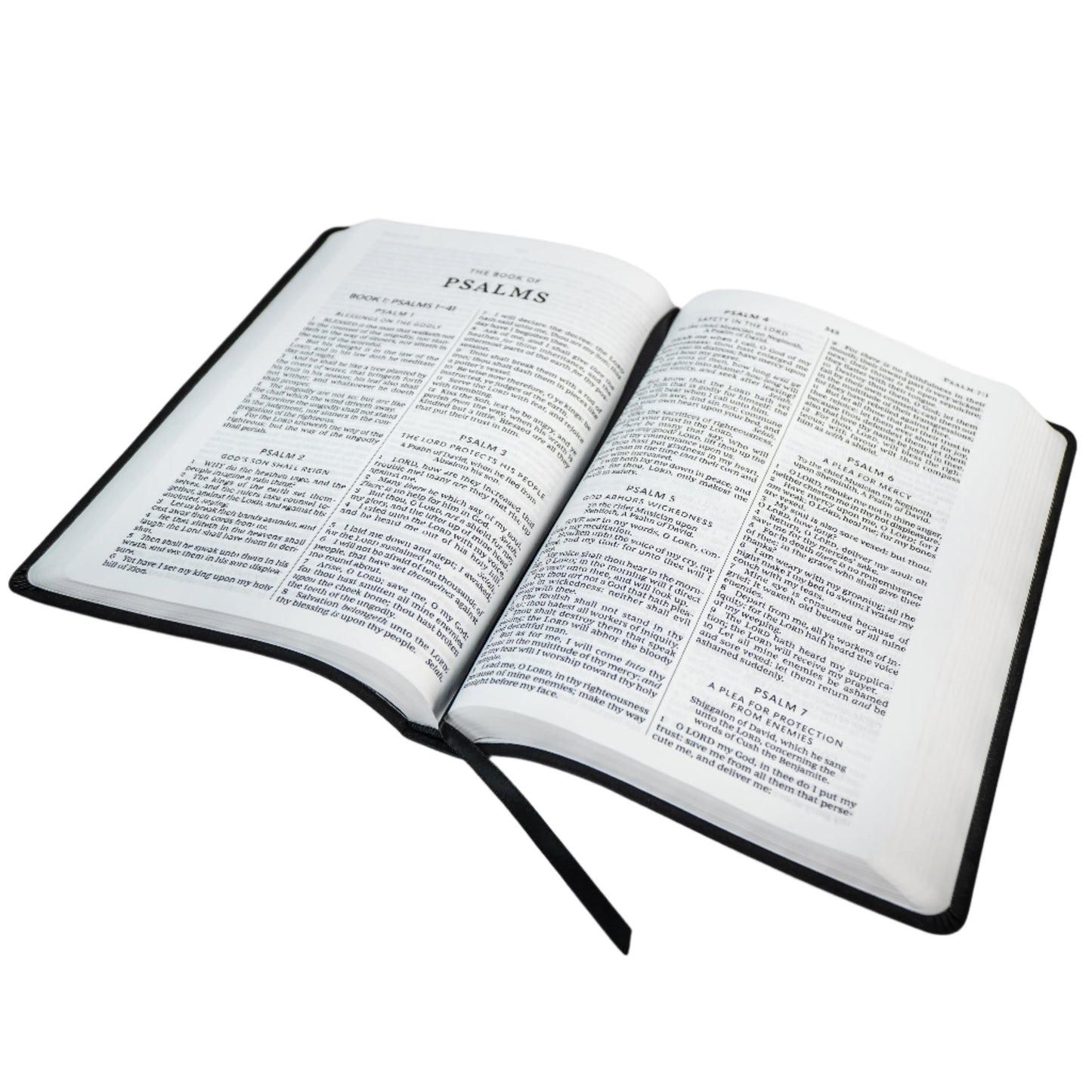 KJV Value Large Print Thinline Bible - English Holy Bible (Old & New Testament)