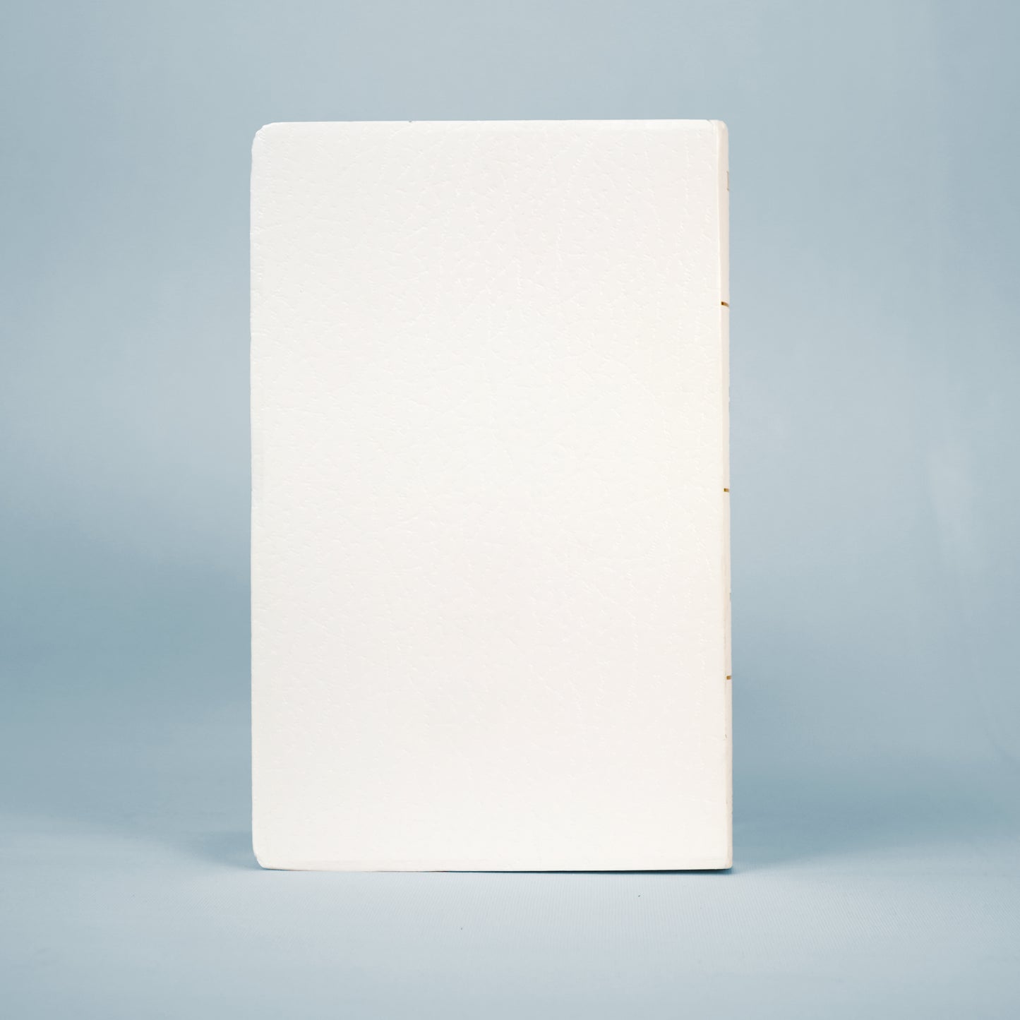 Holman KJV Gift and Award Bible - English Holy Bible (Old & New Testament)