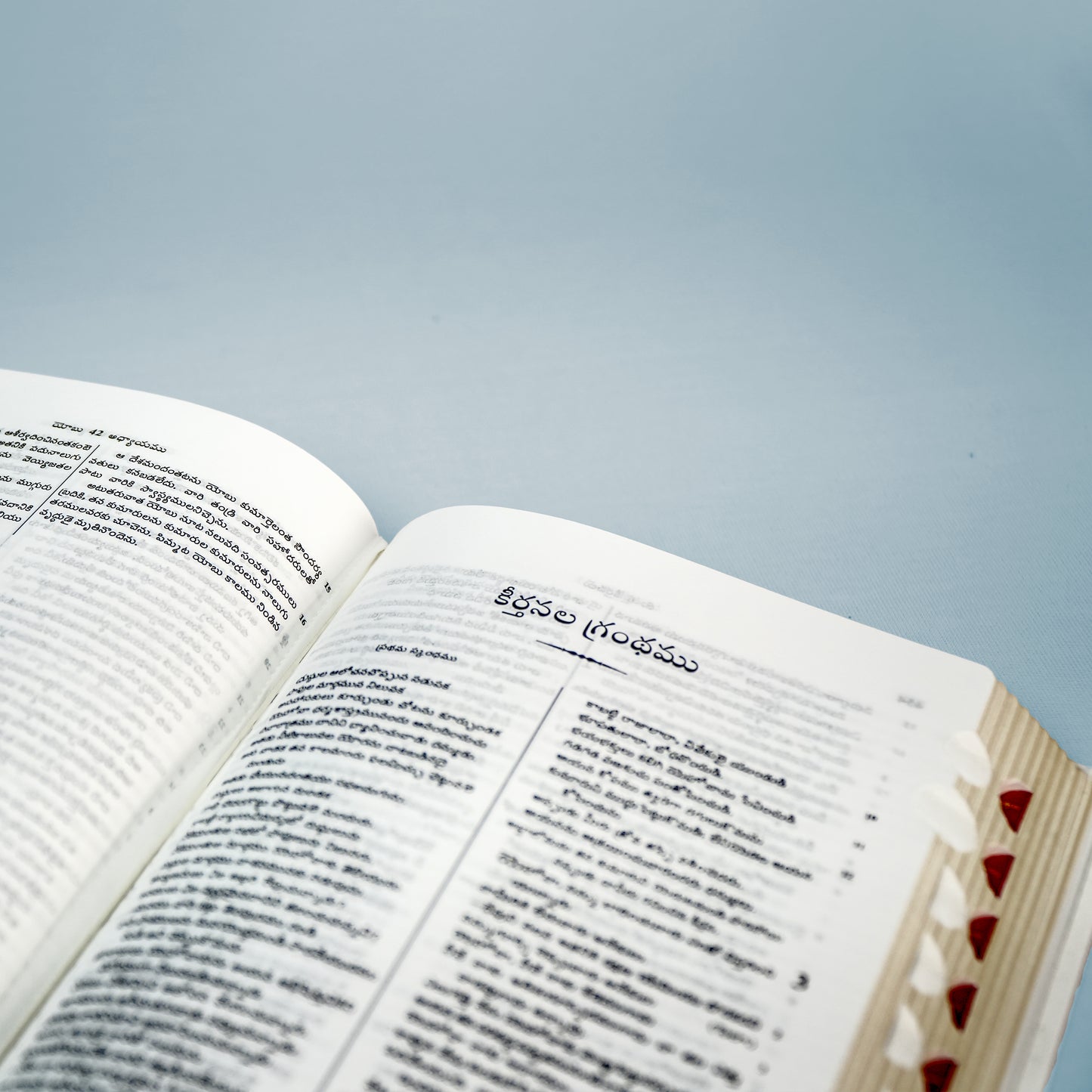 Holy Bible Old and New Testament - Telugu