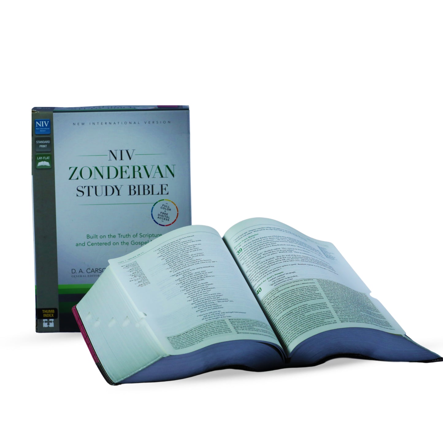 Zondervan Study Bible: New International Version, Imitation Leather, Orchid / Chocolate, Italian Duo-Tone, With Ribbon Marker