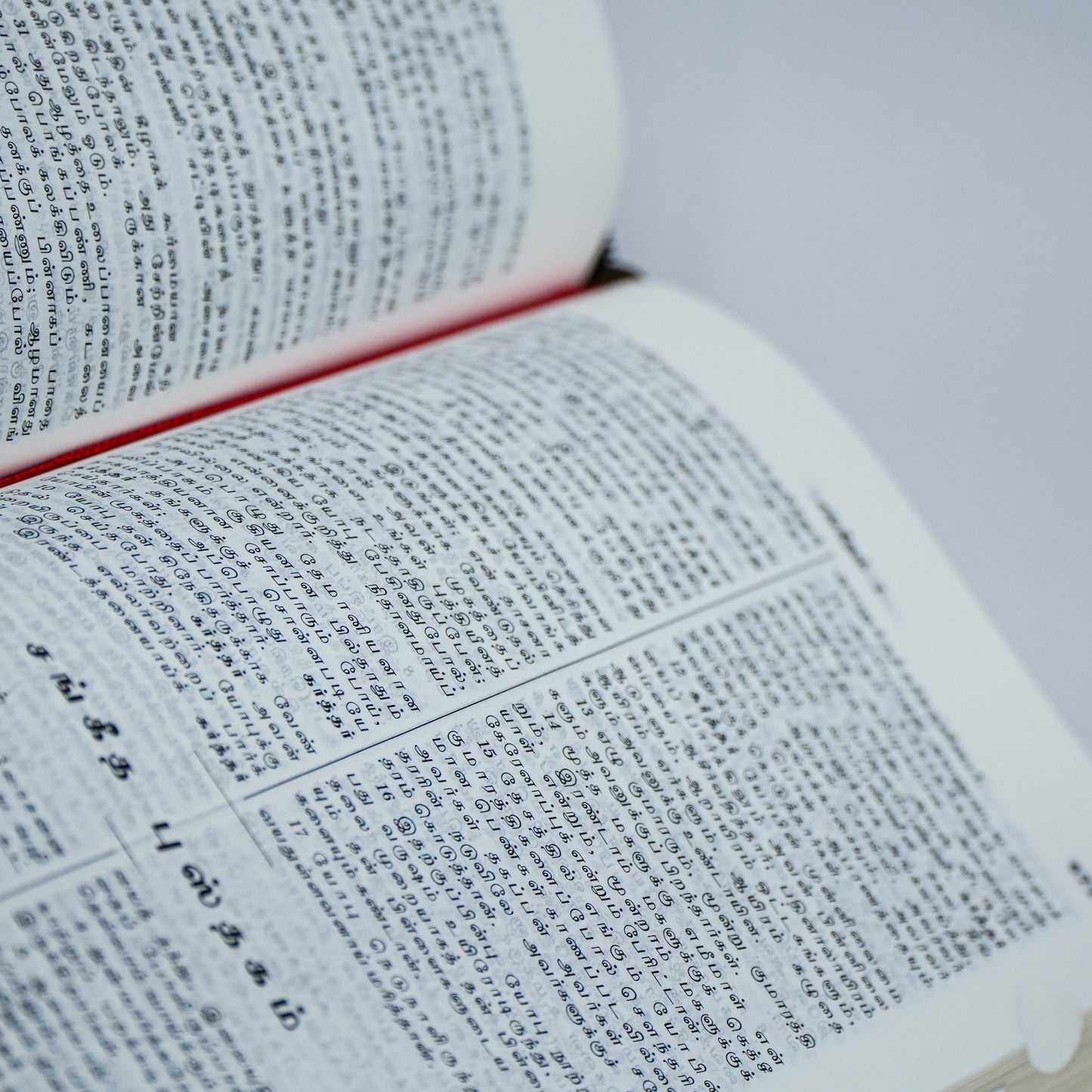 Holy Bible Old and New Testament - Tamil Korean Bible - Small