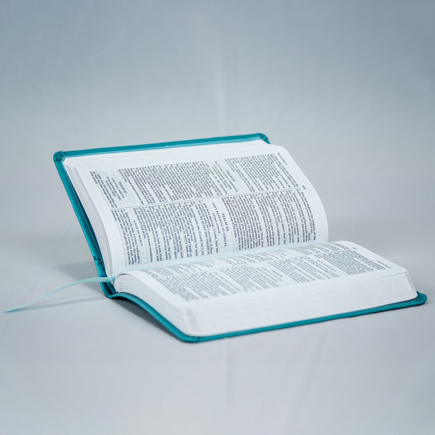 KJV Value Compact Print Thinline Bible - English Holy Bible (Old & New Testament)