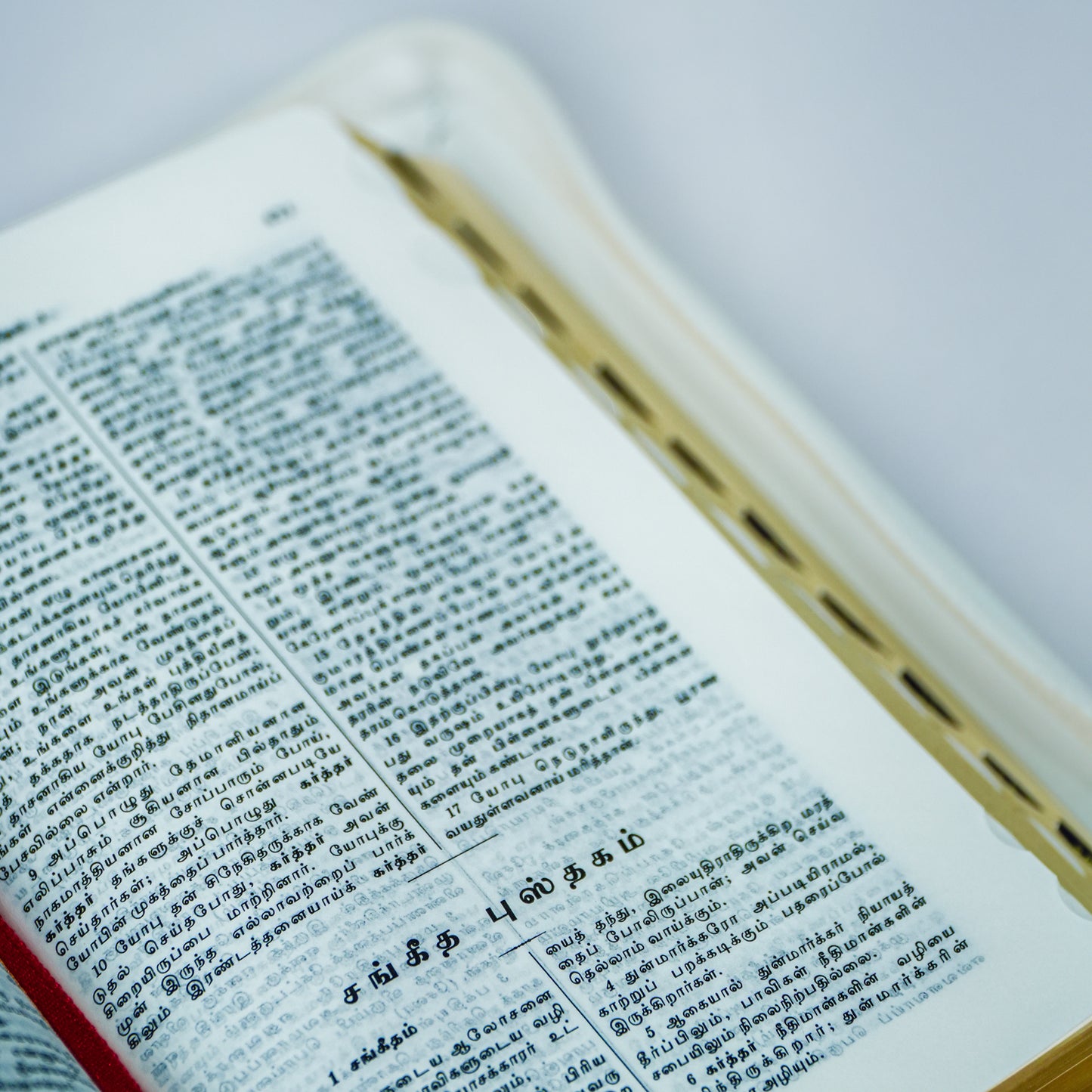 Compact Wedding Bible Old and New Testament - Korean Print Tamil Bible