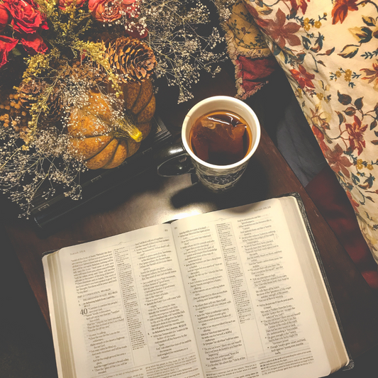 Why should Christians read Christian authors?