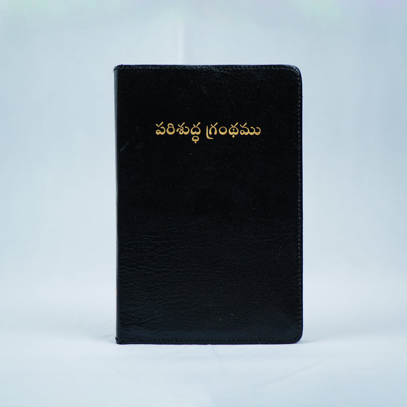 Holy Bible Old and New Testament - Telugu