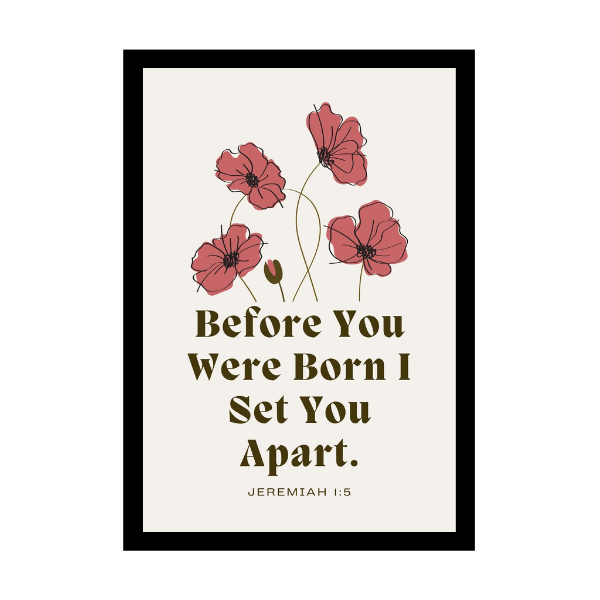 “Before You Were Born I Set You Apart.”- Bible Verse Wall Hanging frame - Health and wellbeing