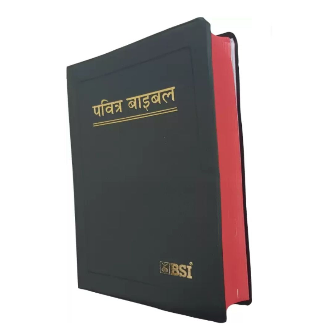 Holy Bible - Hindi - BSI Bible