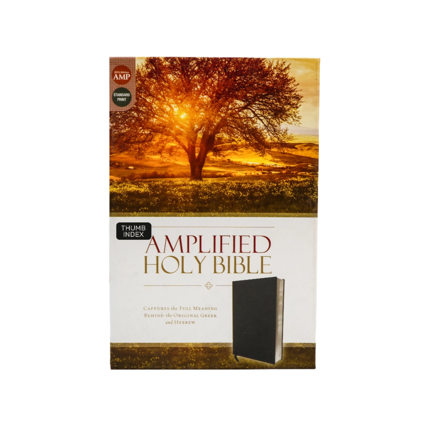 The Amplified Holy Bible (Old & New Testament)