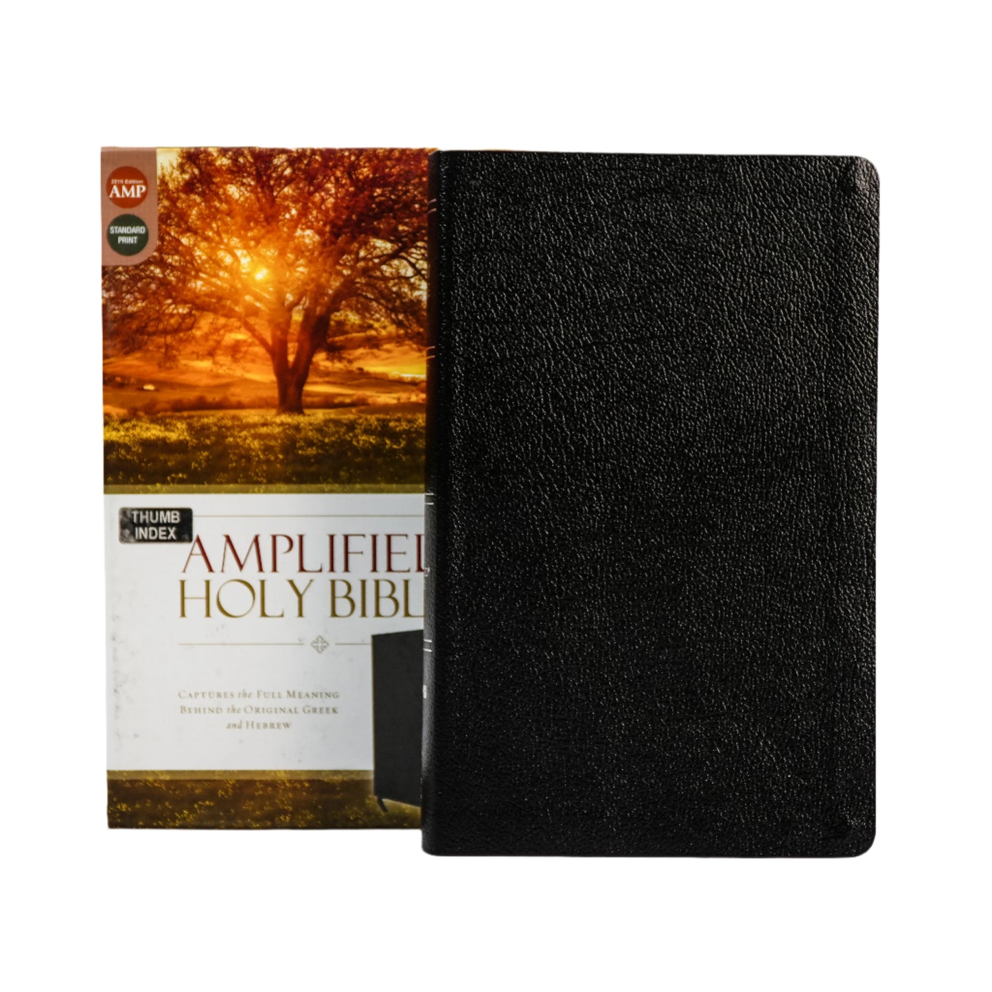 The Amplified Holy Bible (Old & New Testament)