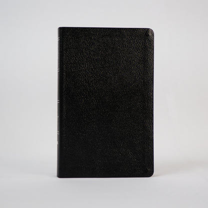 The Amplified Holy Bible (Old & New Testament)