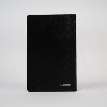 The Amplified Holy Bible (Old & New Testament)