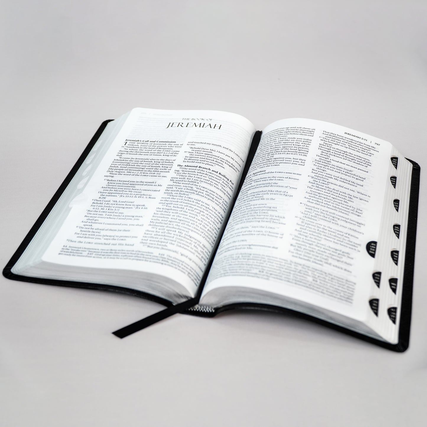 The Amplified Holy Bible (Old & New Testament)
