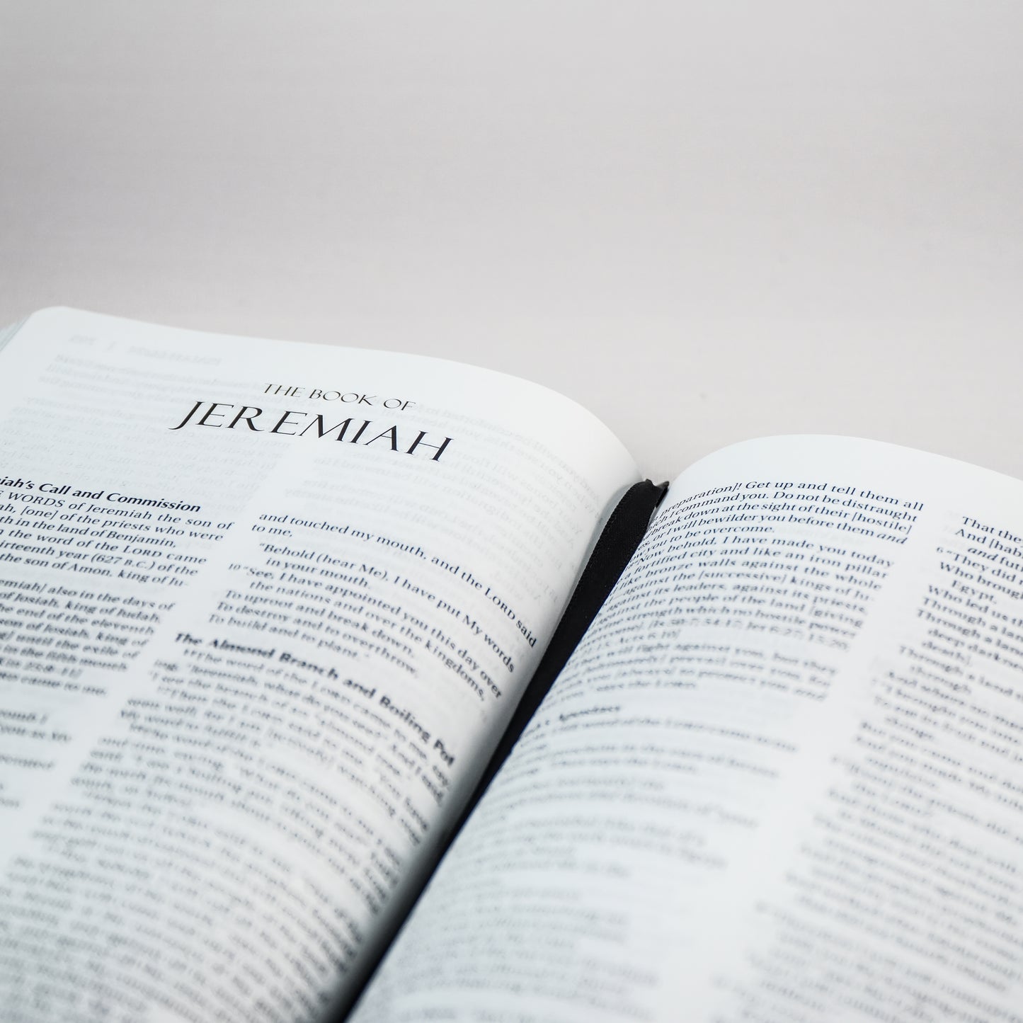 The Amplified Holy Bible (Old & New Testament)