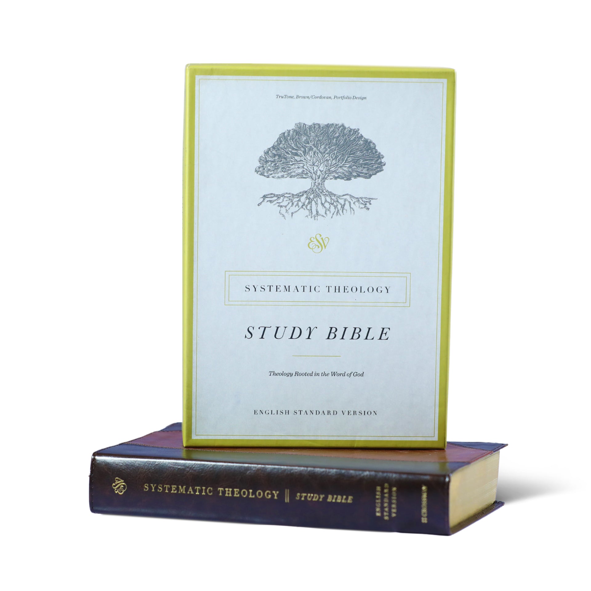 ESV Systematic Theology Study Bible