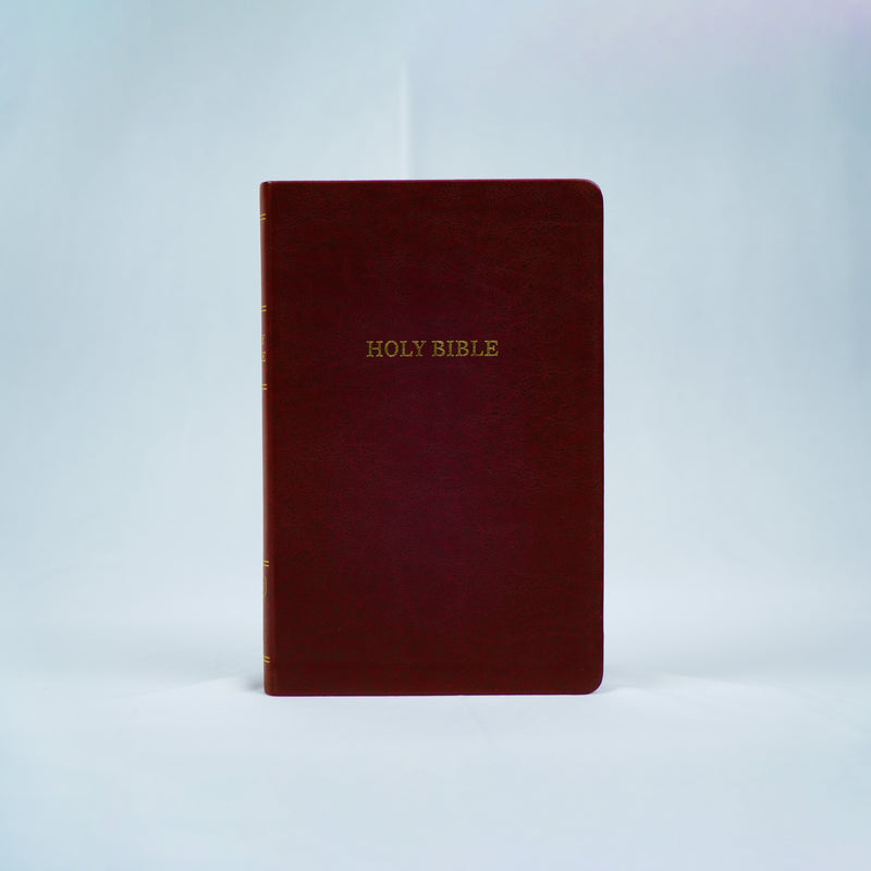 KJV Thinline Holy Bible Old and New Testament - English Bible