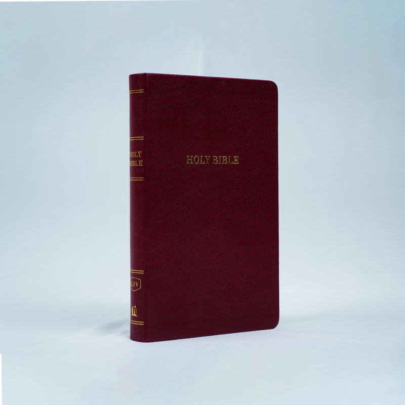 KJV Thinline Holy Bible Old and New Testament - English Bible