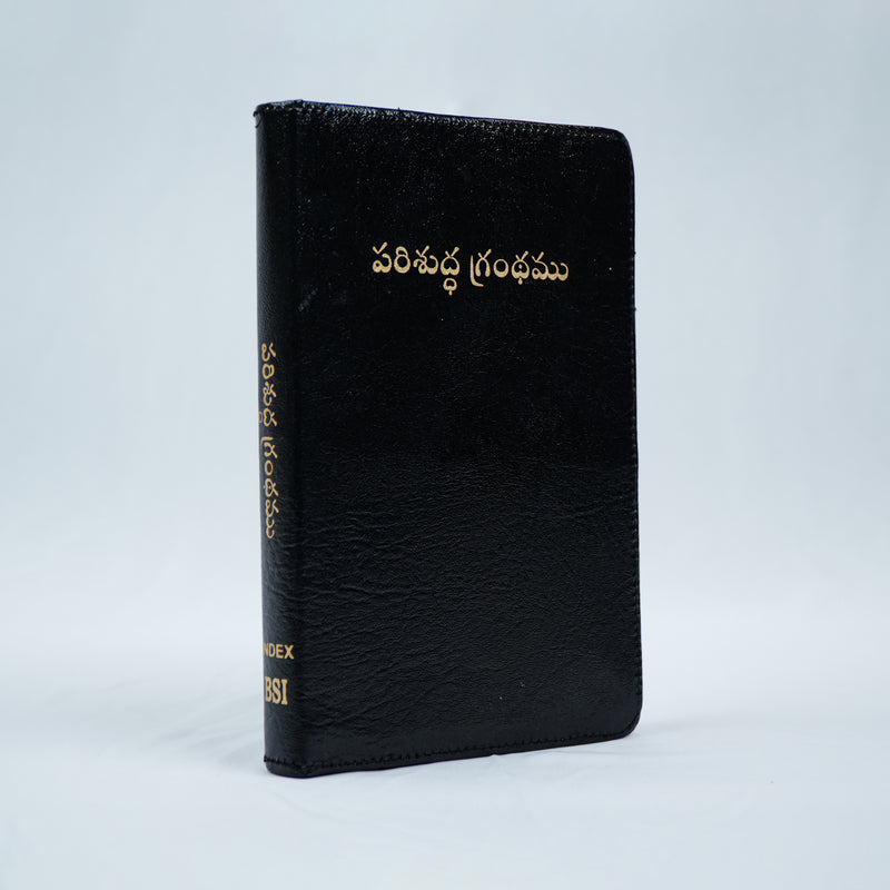 Holy Bible Old and New Testament - Telugu