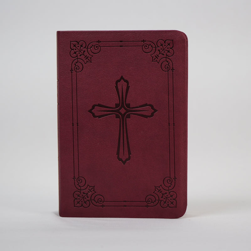 NIV Compact Bible - English Holy Bible (Old & New Testament)