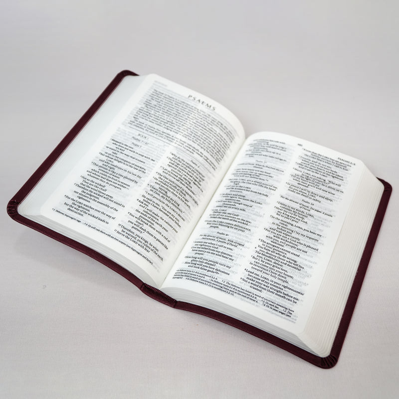 NIV Compact Bible - English Holy Bible (Old & New Testament)