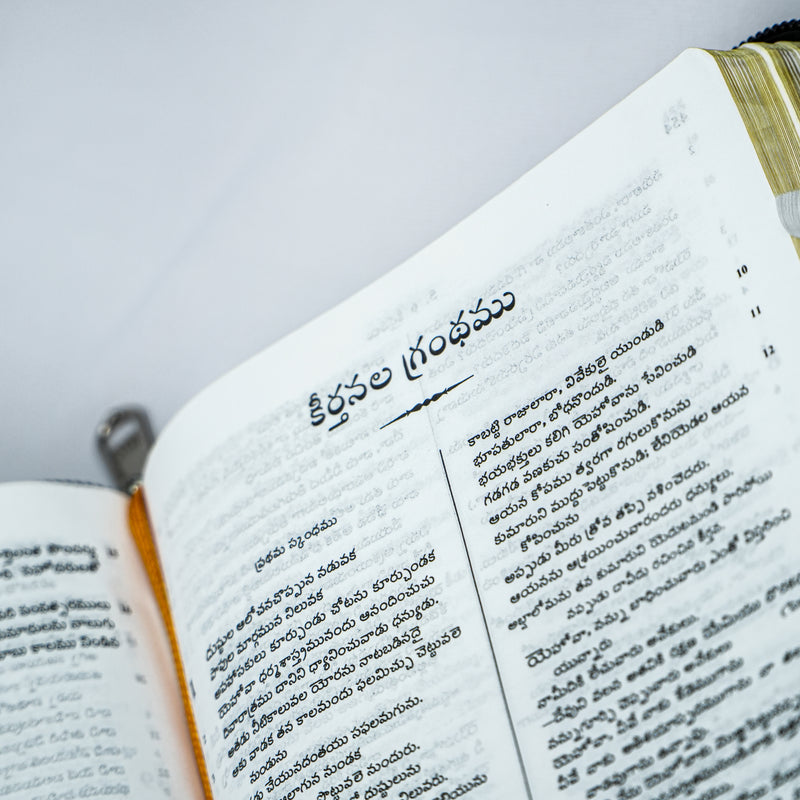 Holy Bible Old and New Testament - Telugu