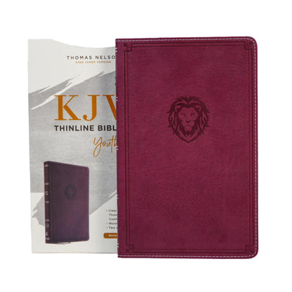 KJV Thinline Bible - Youth Edition (Old & New Testament)