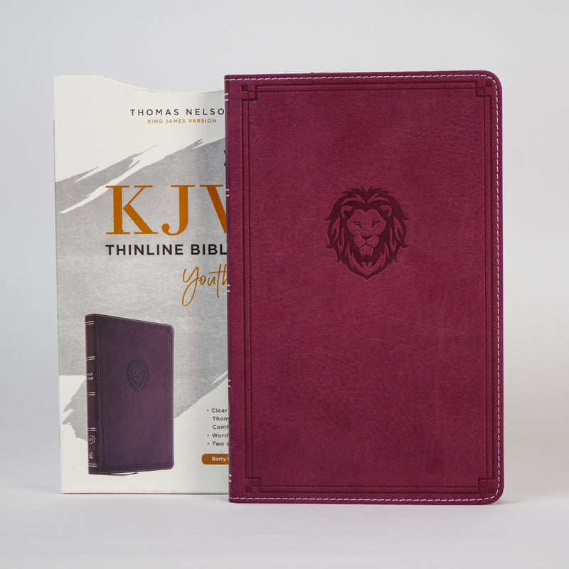 KJV Thinline Bible - Youth Edition (Old & New Testament)