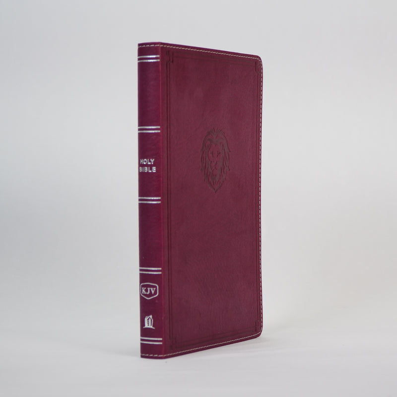 KJV Thinline Bible - Youth Edition (Old & New Testament)