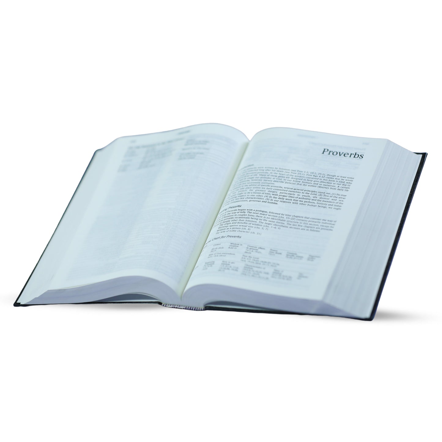 NLT Topical Study Bible Hard Bound - English Bible