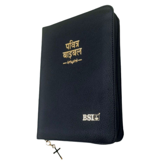 BSI Hindi  Holy Bible Old and New Testament - Hindi Bible